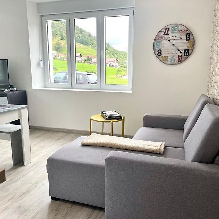 Cocon Lumineux Pres Des Pistes Apartment La Bresse Exterior photo